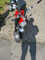 Jincheng monkey  jc50Q7  zu verkaufen    Moped   Mokik  50 ccm Schleswig-Holstein - Glückstadt Vorschau