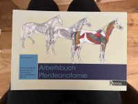 NEU Arbeitsbuch Anatomie Pferd | Pferdeanatomie Bayern - Fürstenfeldbruck Vorschau