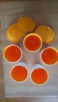 5 Tupperware Allegra Trinkbecher mit Deckel, 450 ml neu Baden-Württemberg - Neckargemünd Vorschau