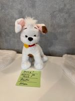 Hund! Stofftier! Winnie the Puuh! Buster! Disney! 25cm! Nordrhein-Westfalen - Gronau (Westfalen) Vorschau