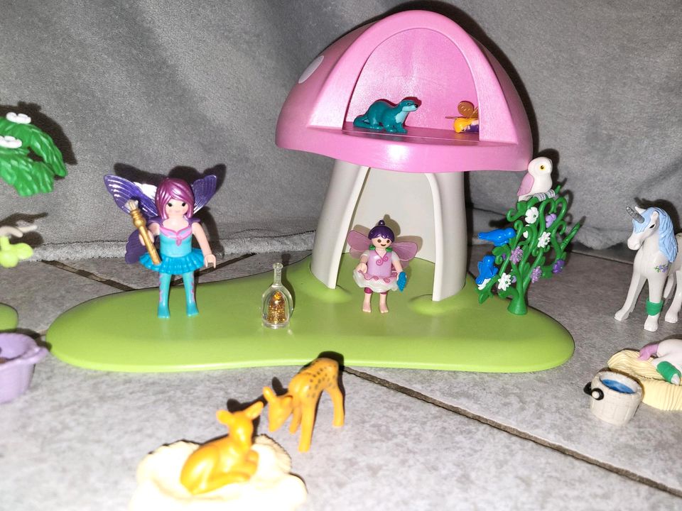 Playmobil Fairies/Feen in Nortorf