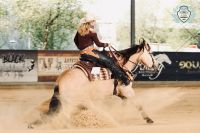 Quarter Horse Stute 7 J. Reining Allround Turnier und Freizeit Nordrhein-Westfalen - Bottrop Vorschau