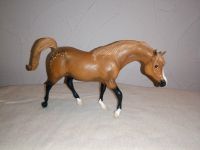 Breyer Modellpferd Araber Repaint Cust Classic Bayern - Giebelstadt Vorschau