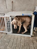 Hundebox, alu (Spezialanfertigung) für MB B 250 E Sachsen-Anhalt - Zernitz Vorschau