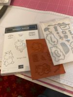 Stampin Up Stempel und Stanze neu und unbenutzt Hippest Hippos Nordrhein-Westfalen - Borken Vorschau