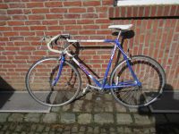 Rennrad Raleigh Reynolds 501 Brazil 300EX Nordrhein-Westfalen - Geilenkirchen Vorschau