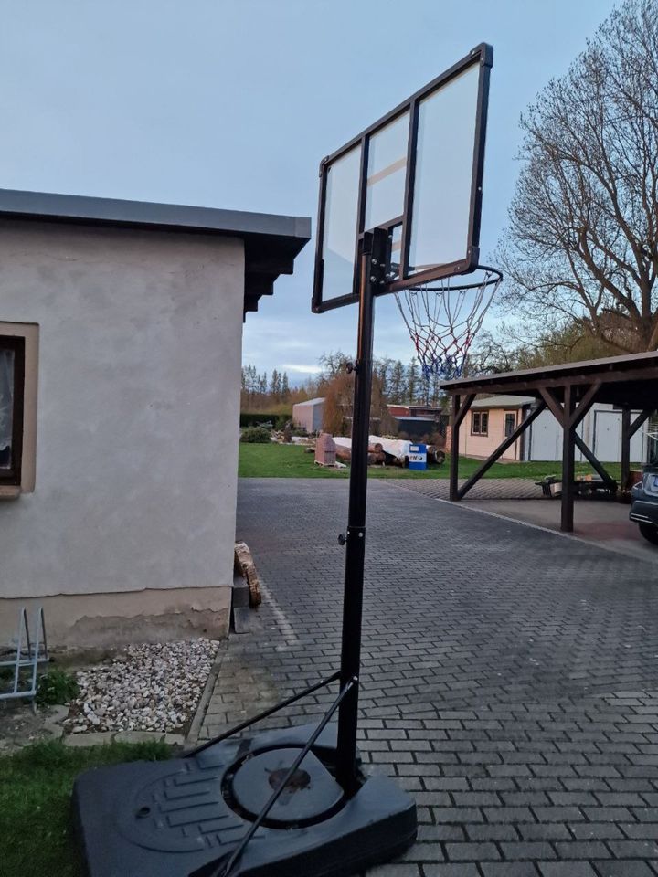Höhenverstellbarer Basketballständer in Döbeln