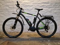 Carver Strict E.300 - 400 Wh - 29 Zoll-Hardtail 54 Rahmen E-Bike Hamburg - Bergedorf Vorschau