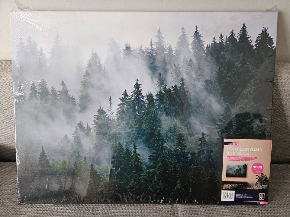 NEU Bild Leinwand 80x60 cm mit Wald-Motiv Natur OVP in Wetter (Ruhr)