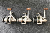 3× Daiwa Longbeam SS 9000P MADE IN JAPAN Longcast Spools Angeln Niedersachsen - Bad Bentheim Vorschau