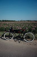 Greaser E-Bike in CLASSIC BLACK - Cafe Racer Bike in top Zustand Nordrhein-Westfalen - Wesseling Vorschau