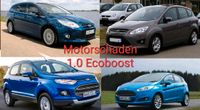 Ankauf Motorschaden Ford Focus Fiesta Kuga Mondeo Ranger Tourneo Nordrhein-Westfalen - Gütersloh Vorschau