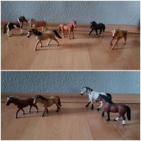 Schleich Pony - Set Dresden - Briesnitz Vorschau