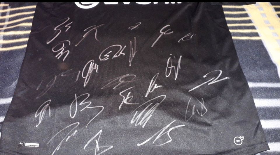 BVB Trikot Gr. L mit Original Autogrammen Dortmund 17/18 in Peine