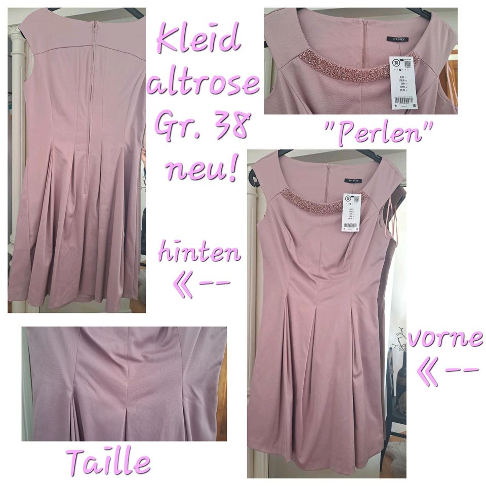 NEU!!! (BUSINESS) Kleid, altrosa, Gr. 38 in Landau in der Pfalz