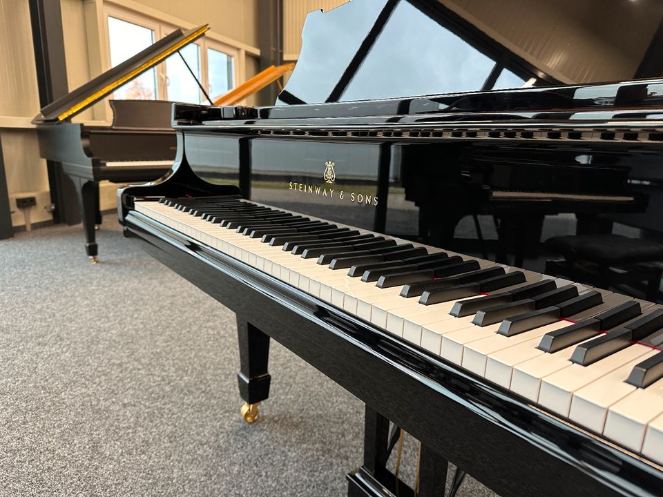 Steinway & Sons Flügel, Mod. S-155, Generalüberholt, 5 J.Garantie in Swisttal