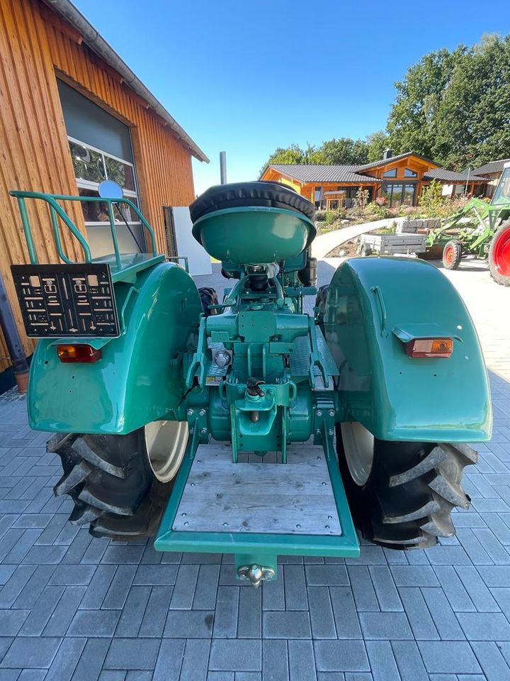 Traktor MAN 4N1 Allrad ,voll restauriert, selten,  als Wertanlage in Windischeschenbach