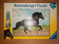 Ravensburger Puzzle Pferd 200 Teile XXL Thüringen - Ranis Vorschau