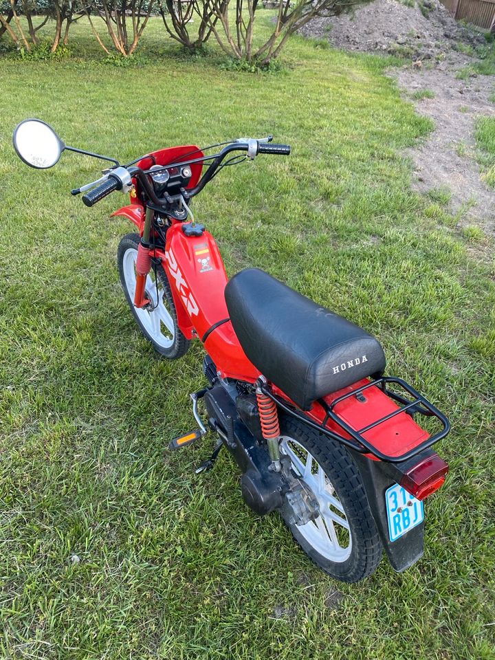 Honda Pxr Px 50 Mofa Moped in Delligsen