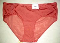 Damen Unterwäsche Slip Panty Gr. 48 / 50  ***NEU***! Thüringen - Apolda Vorschau