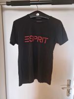 Esprit T-Shirt, Gr. S Baden-Württemberg - Singen Vorschau
