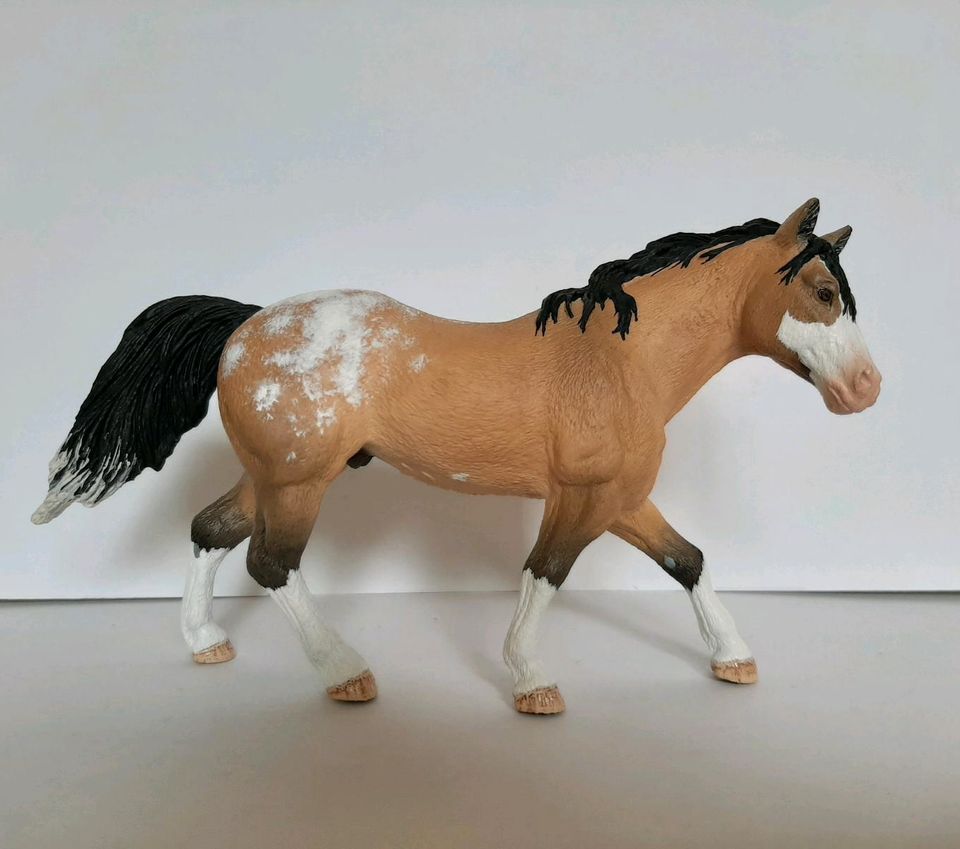 Schleich Repaint Quarter Horse Hengst in Köln