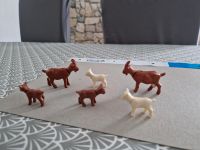 Playmobil Ziegen  - Tiere - Bauernhof  - Set  2,50 € - Hessen - Homberg (Efze) Vorschau