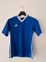 Adidas Trikot, Gr. 164, Sportshirt, climacool, blau Lindenthal - Köln Lövenich Vorschau