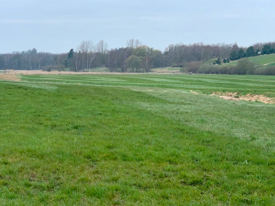 ***21 ha LandwirtschaftsflächeAckerGrünland in Mecklenburg!*** in