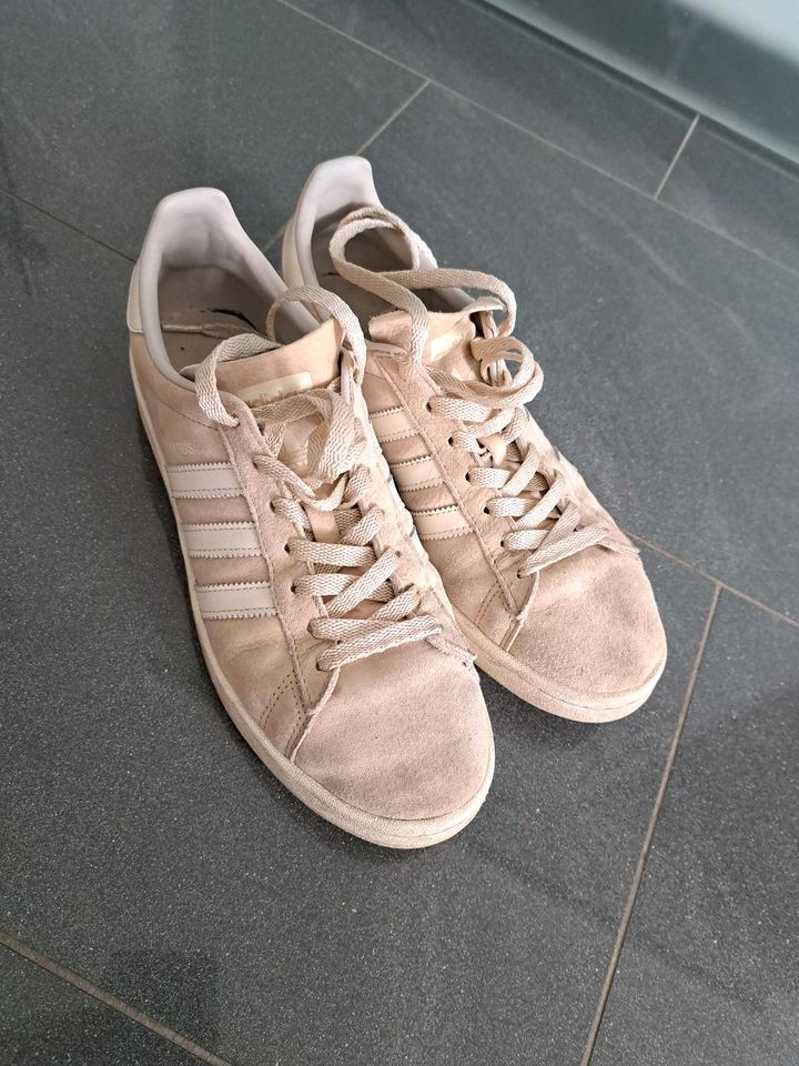 Adidas gr 42 2/3 in Emsdetten