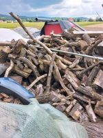 Brennholz aus Baumschnitt Nordrhein-Westfalen - Borgholzhausen Vorschau