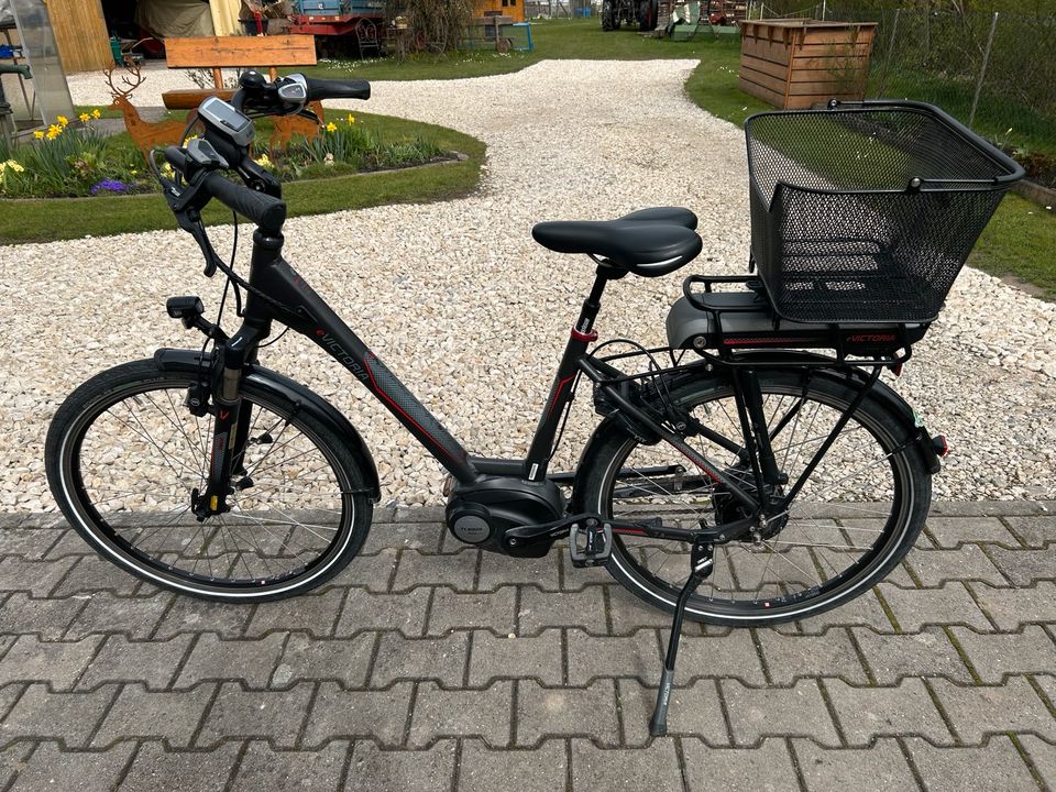 E-Bike Viktoria in Langweid am Lech