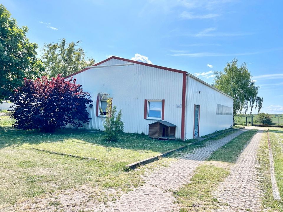 HORN IMMOBILIEN ++ Ihlenfeld bei Neubrandenburg Grundstück + Lager-Arbeitshalle, Büro, 3 Container in Neverin