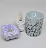 Scentsy Duftlampe "Morning Sunrise" Sachsen-Anhalt - Niederndodeleben Vorschau