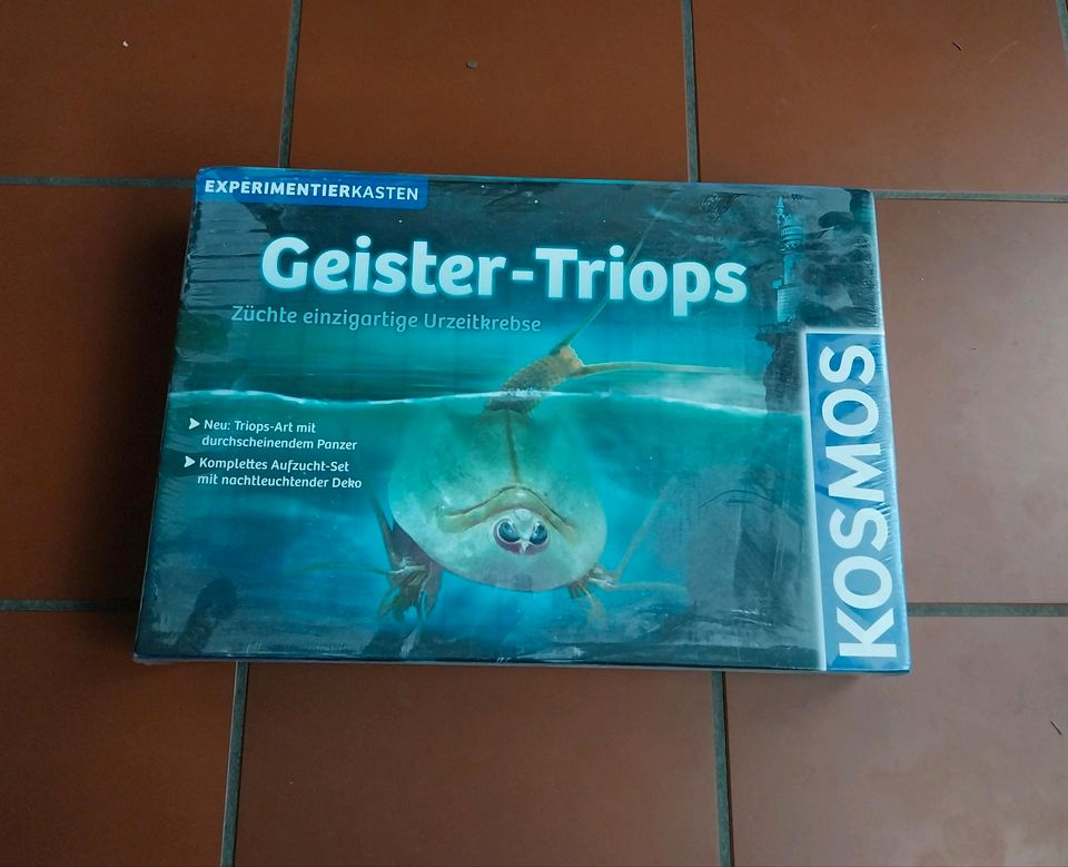 Kosmos Geister-Tripos Experimentierkasten in Velbert