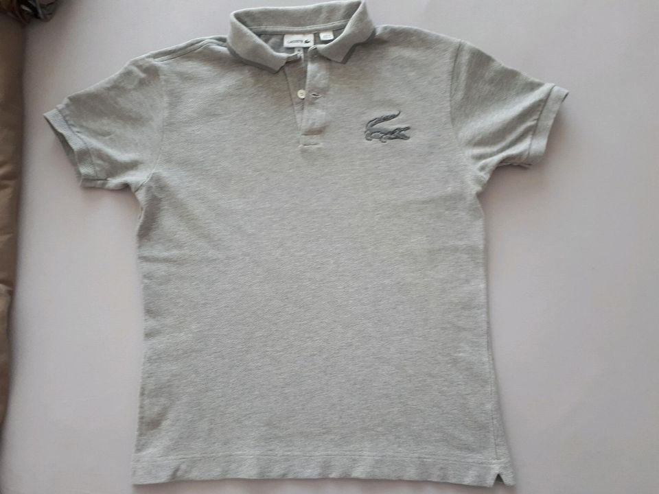 Lacoste Poloshirt, grau, 158/164, neuwertig inkl. Versand in Dinslaken