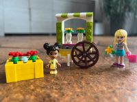 Lego Friends Stephanies Blumenladen Hessen - Glashütten Vorschau