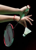 badminton spielen … Nordrhein-Westfalen - Bad Honnef Vorschau