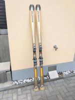 Dynastar SkiCross 186cm Sachsen - Flöha  Vorschau