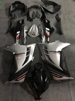 Vollverkleidung für KAWASAKI NINJA 300 NINJA-300 2013 2014 2017 Niedersachsen - Hambühren Vorschau