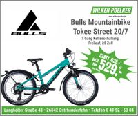 Bulls Tokee Street Mint 20 Zoll 7 Gang Kinderfahrrad Mountainbike Niedersachsen - Ostrhauderfehn Vorschau