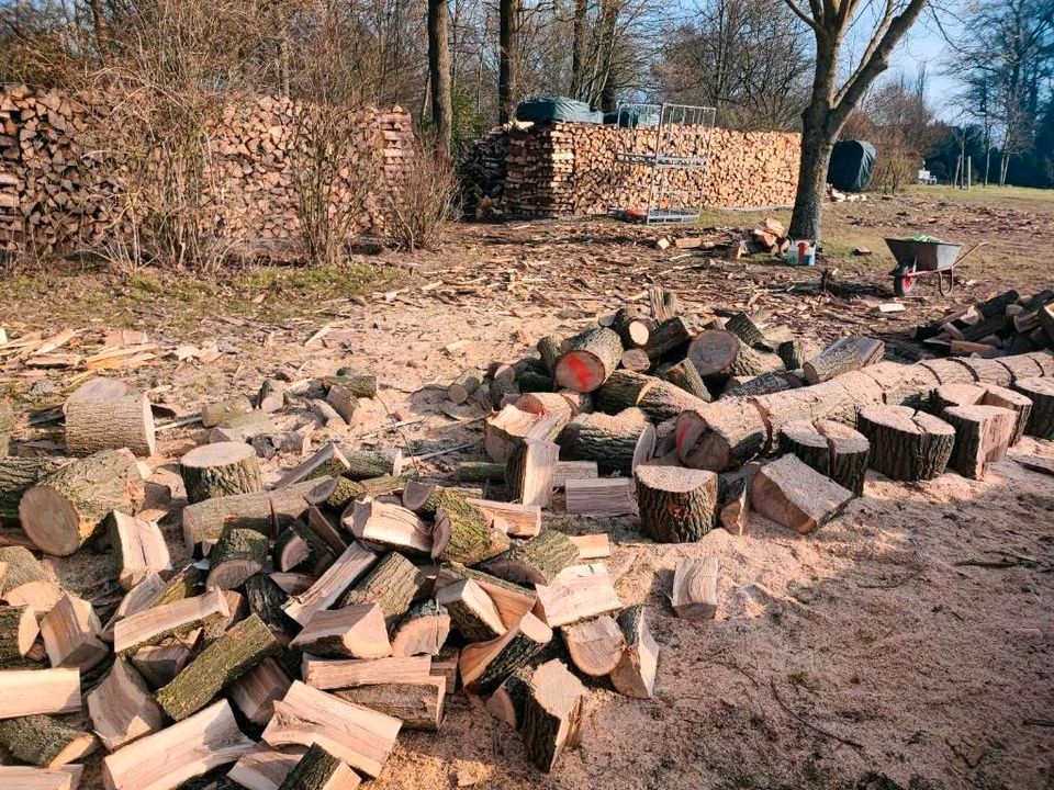 Kaminholz Feuerholz Brennholz in Rosengarten