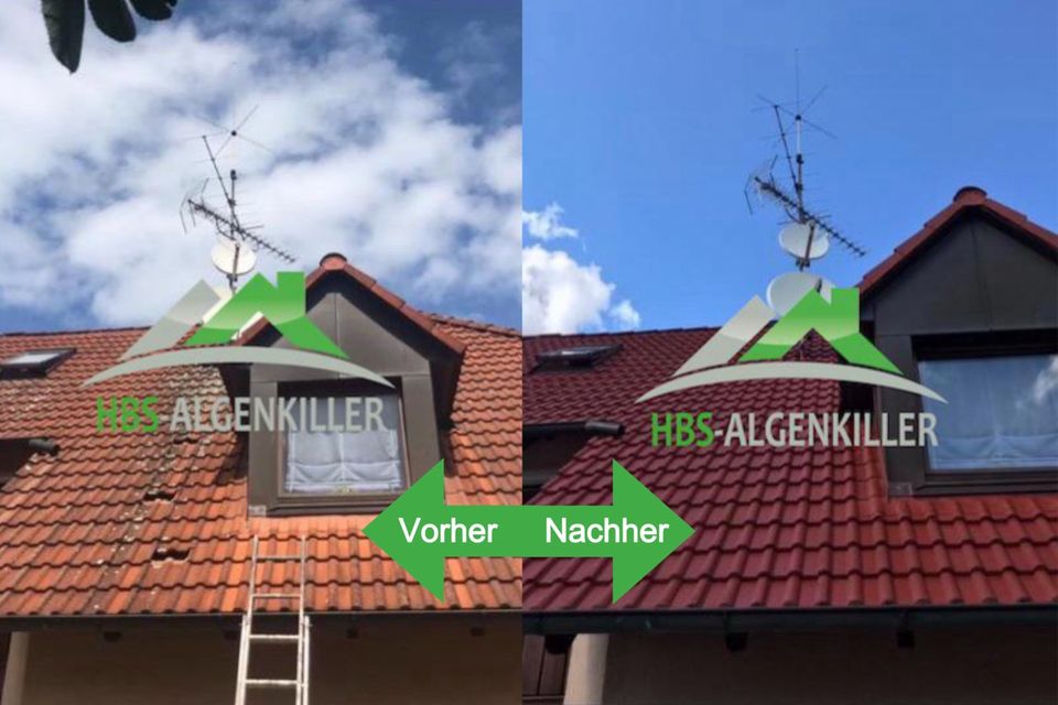 Dachreinigung, Dachbeschichtung in Fürth