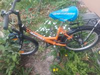 Kinderfahrrad 20 Zoll orange Baden-Württemberg - Mannheim Vorschau