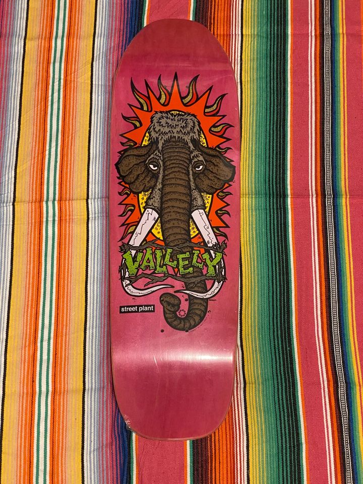 Street Plant Mike Vallely Mammoth Powell Peralta Santa Cruz in Köngen