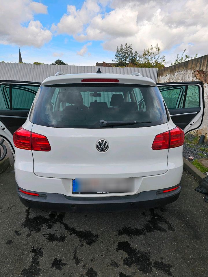 Auto, WV tiguan 1.4. 2014 in Mönchengladbach