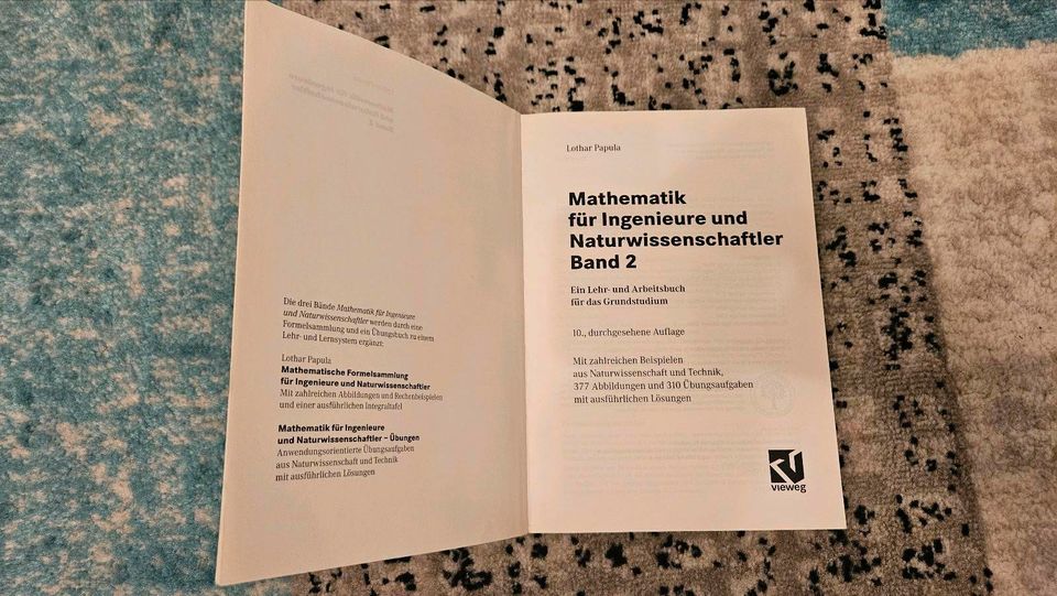 Buch Mathematik für Ingenieure und Naturwissenschaftler Band 2 in Baar-Ebenhausen