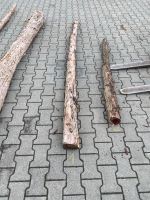 Eibenholz für Bogenbau und zum basteln Hessen - Groß-Gerau Vorschau