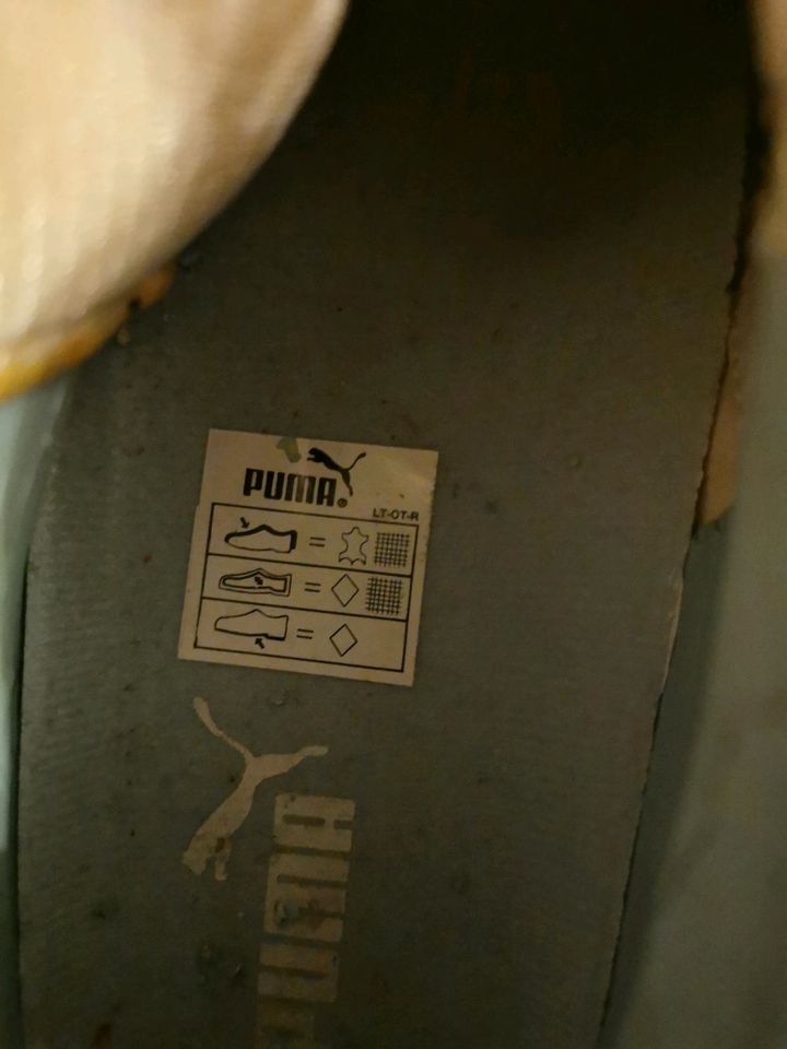 Puma Roller Kitty Rollschuhe Gr. 40 in Düsseldorf