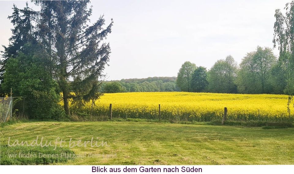 Modernes Ferienhaus in ländlicher Bilderbuchlandschaft in Friedrichswalde